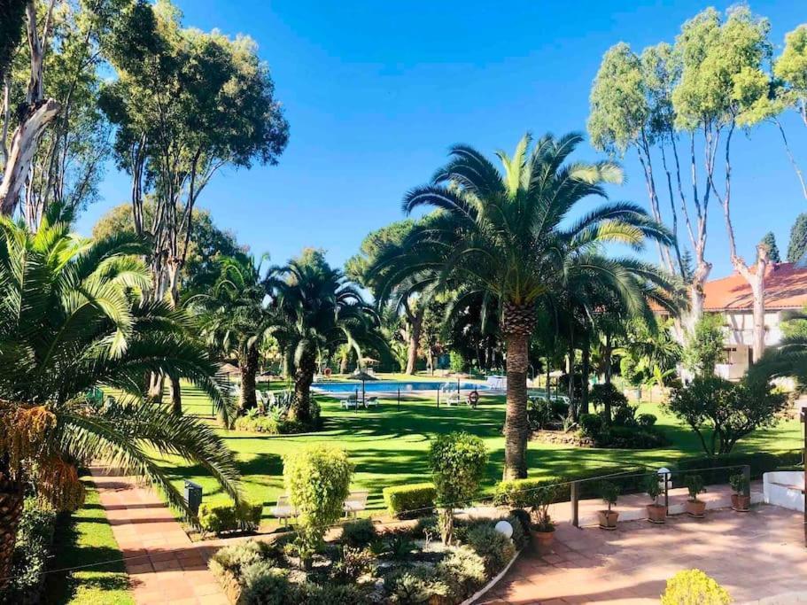Puerto Banus Eddie Suite Marbella Exteriör bild